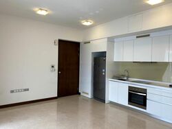Spottiswoode Residences (D2), Condominium #482338311